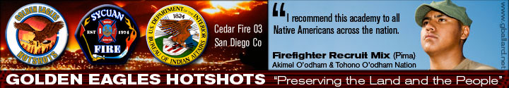 PROFESSIONAL FIRE FIGHTER WEB BLOG