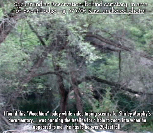 PHOTOGRAPH OF NATIVE AMERICAN INDIAN SPIRT IN THE WOODS ON SOUTHERN CALIFORNIA INDIAN RESERVATION.